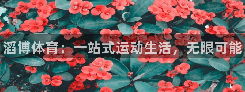 米兰体育报