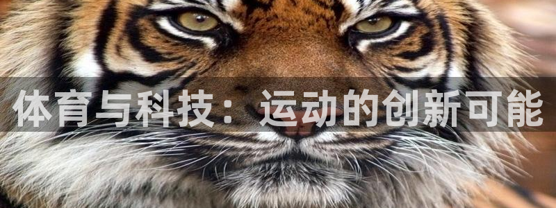 米兰体育综合官网